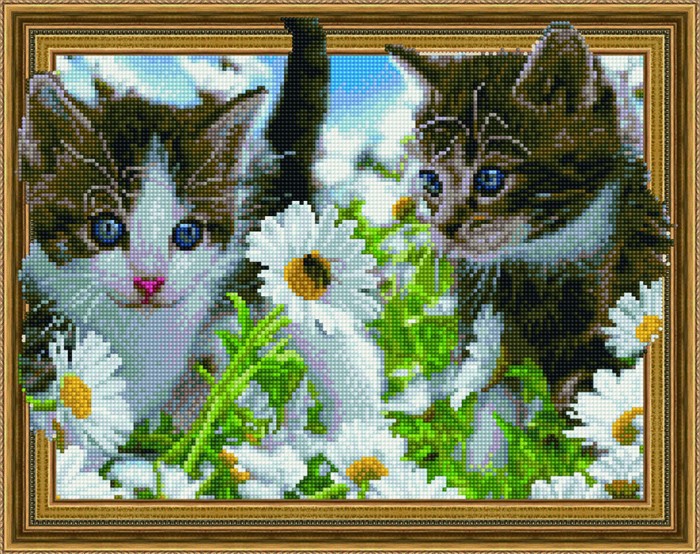 Paintboy Алмазная картина на подрамнике Котята на прогулке 50х40 см, Алмазная картина на подрамнике Котята на прогулке 50х40 см
Paintboy Алмазная картина на подрамнике Котята на прогулке 50х40 см, Алмазная картина на подрамнике Котята на прогулке 50х40 см