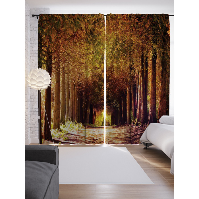 JoyArty Шторы с фотопечатью Тихая аллея из сатена 290х265 см, Шторы с фотопечатью Тихая аллея из сатена 290х265 см
JoyArty Шторы с фотопечатью Тихая аллея из сатена 290х265 см, Шторы с фотопечатью Тихая аллея из сатена 290х265 см
