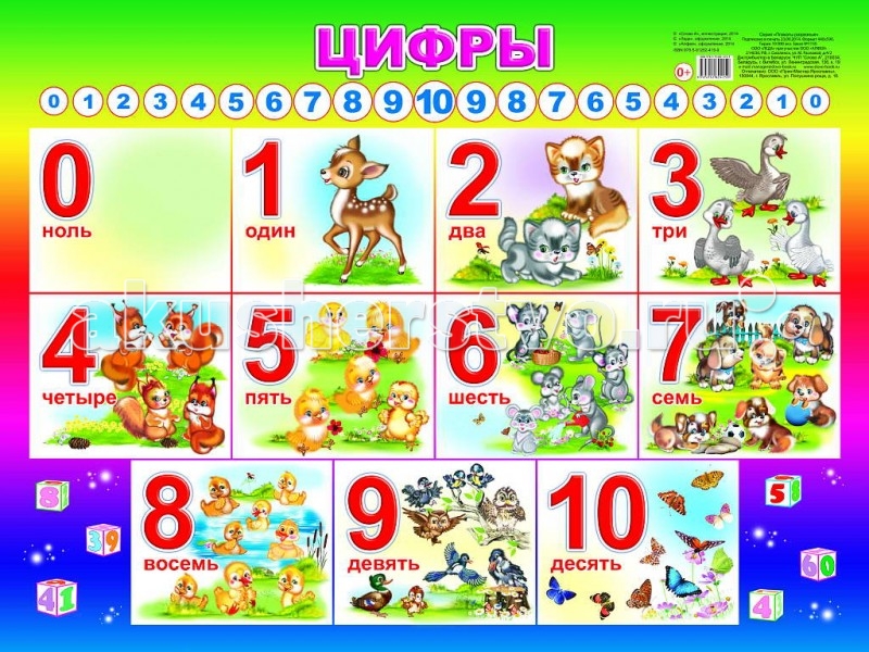 Все цифры плакат Все цифры плакат
