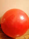 69019 Gymnic Plus Мяч гимнастический Фитбол 55 см от пользователя Елена