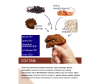  ProteinRex Овсяный протеиновый флэпджек без сахара FlapJack Шоколад Vegan 210 ккал 60 г - 2-1648212049