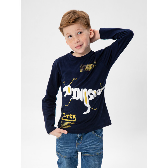 

AmaroBaby Kids Лонгслив детский Dino, Kids Лонгслив детский Dino