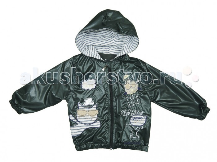 

Baby Rose Ветровка для мальчика 8293
