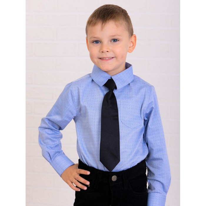Bluebells Рубашка для мальчика BB2021-128