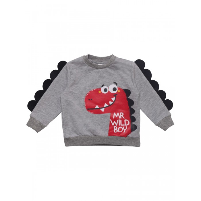 

Bonito kids Кофта Mr wild boy OP327, Кофта Mr wild boy OP327