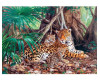  Castorland Пазлы Ягуары в джунглях (3000 элементов) - Castorland Пазлы Ягуары в джунглях (3000 элементов)