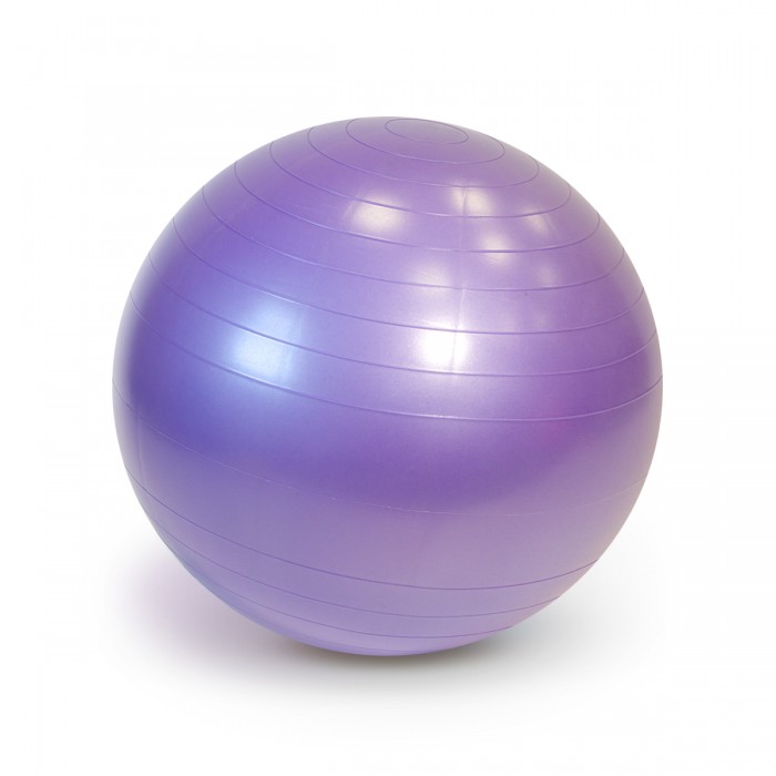 Мячи Gymnic Мяч гимнастический фитбол Plus 65 см