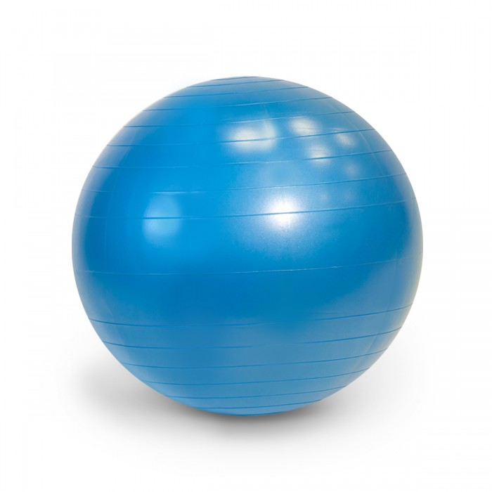 Gymnic Plus Мяч гимнастический Фитбол 65 см