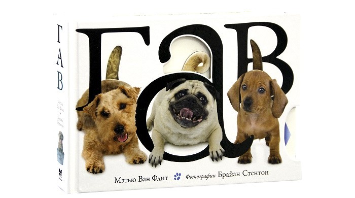 Махаон М.В. Флит Гав