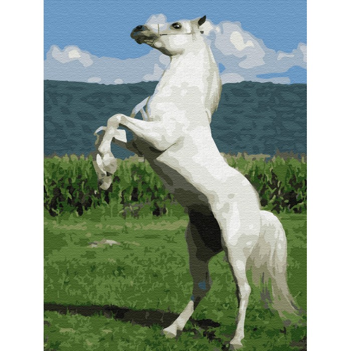Картины по номерам Molly Картина по номерам с цветной схемой на холсте Белый конь 40х30 см