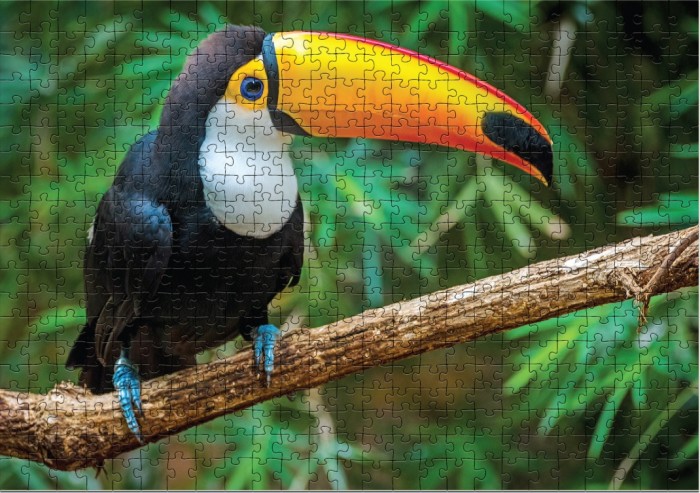 

Dodo Пазл Птица Тукан Бразилия (500 элементов), Пазл Птица Тукан Бразилия (500 элементов)