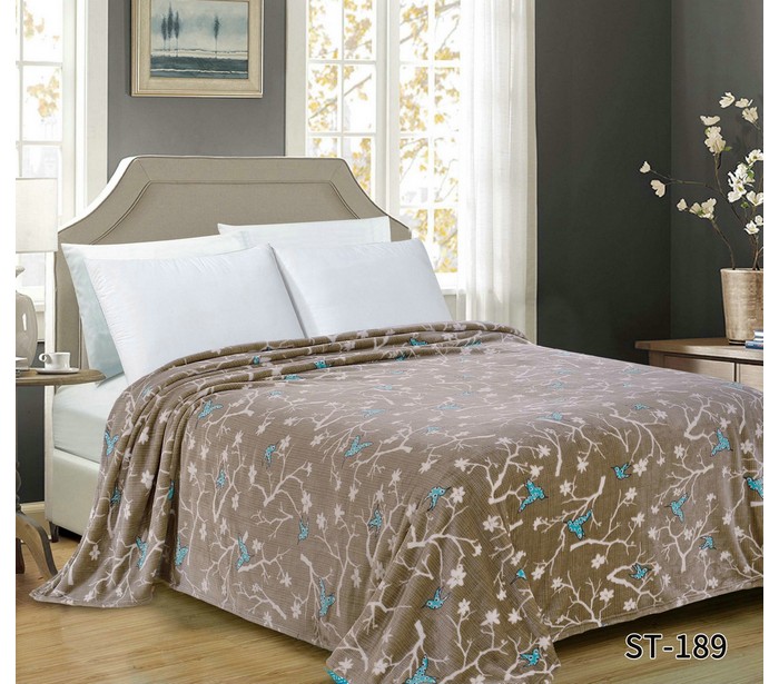 

Плед Dream Time Велсофт 1.5 спальный 200х150 BL0399-1, Велсофт 1.5 спальный 200х150 BL0399-1