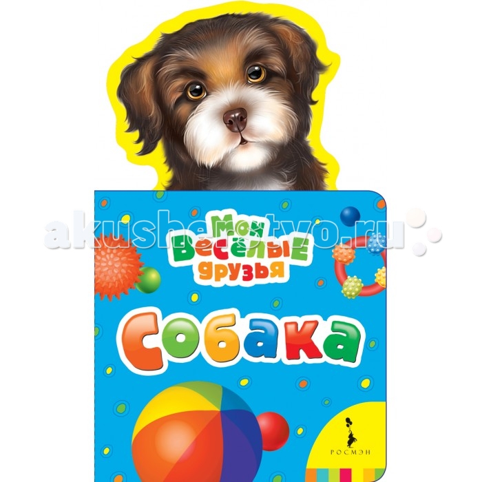 Поздравления с днём рождения собаке. Открытки с днём рождения с собаками. Моей собаке 3 года. Праздничная овчарка. С днём рождения собаке 1 год.