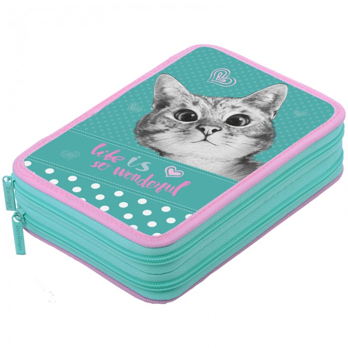 

Berlingo Пенал Curious cat с двумя отделениями, Пенал Curious cat с двумя отделениями
