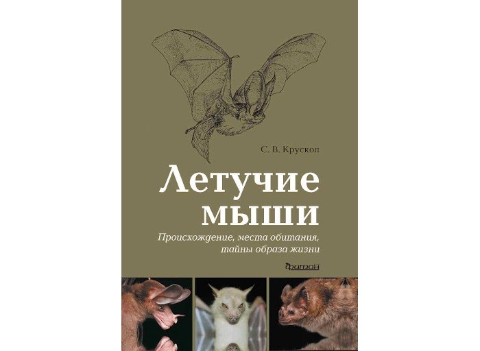 Издательство Фитон+ Книга Летучие мыши Происхождение, места обитания, тайны образа жизни