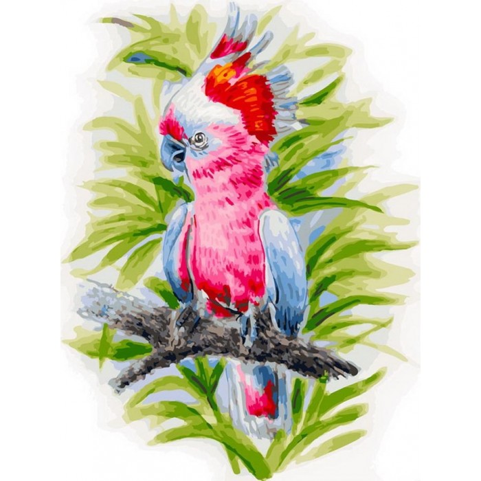 Картины по номерам Белоснежка Картина по номерам на холсте Розовый попугай 40х30 см