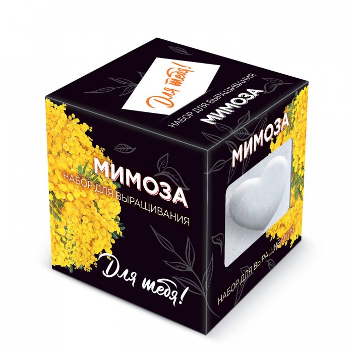 Kawaii Factory Подарочный набор для выращивания в дизайнерском кубике ручной работы Для тебя! Мимоза