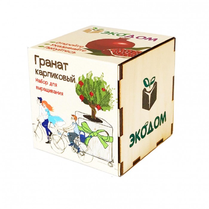 Kawaii Factory Подарочный набор для выращивания в кубике ЭкоДом Гранат карликовый