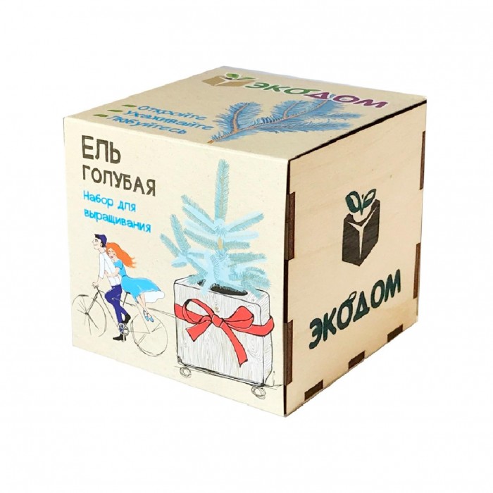 Kawaii Factory Подарочный набор для выращивания в кубике ЭкоДом Ель голубая