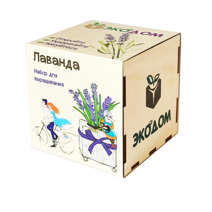 Kawaii Factory Подарочный набор для выращивания в кубике ЭкоДом Лаванда