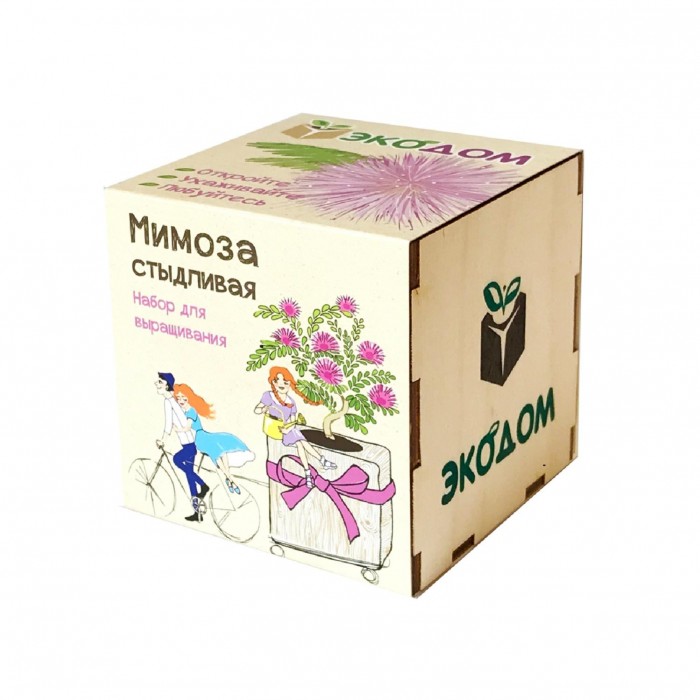 Kawaii Factory Подарочный набор для выращивания в кубике ЭкоДом Мимоза стыдливая