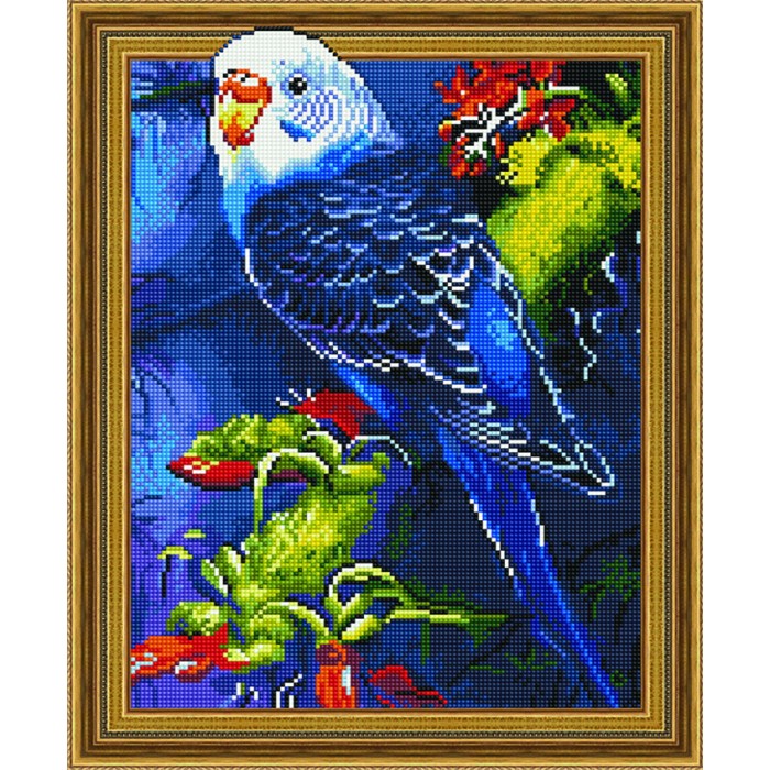 

Paintboy Алмазная картина на подрамнике Волнистый попугайчик 50х40 см, Алмазная картина на подрамнике Волнистый попугайчик 50х40 см