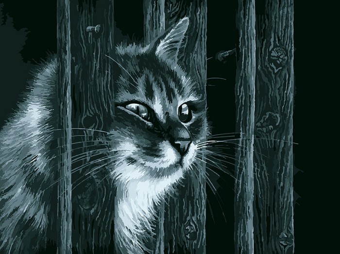 

Белоснежка Картина по номерам Любопытный сосед, Картина по номерам Любопытный сосед