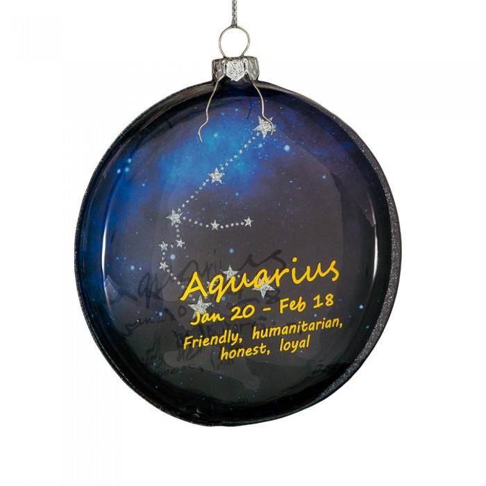 ErichKrause Decor Украшение Водолей медальон 10 см 658₽