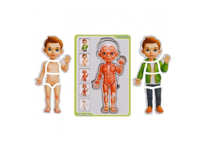 Деревянная игрушка Ань-Янь Пазл-сортер Анатомия человека мальчик