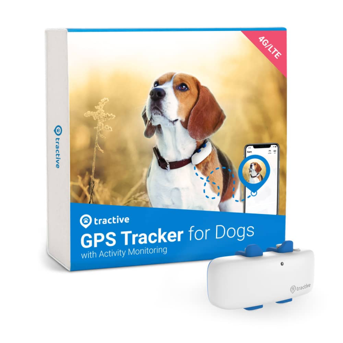 Tractive DOG 4 LTE - трекер для собак c мониторингом активности
