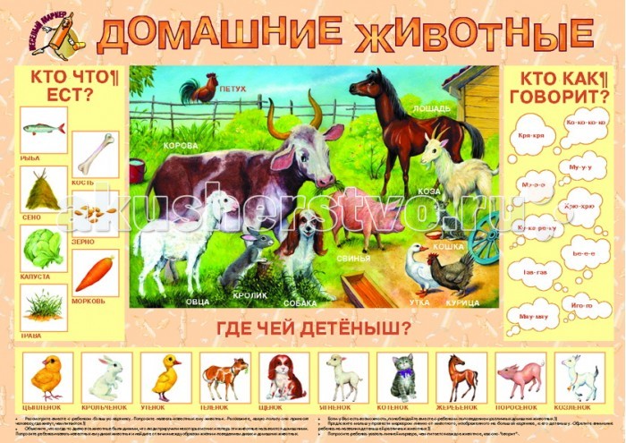Обучающие плакаты Маленький гений Плакат Домашние животные 9005 домашние костюмы