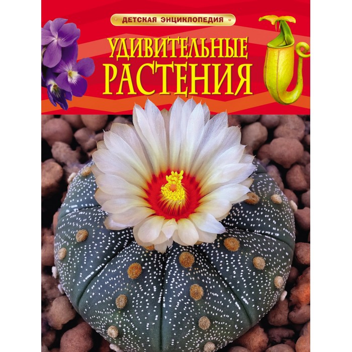 Энциклопедии Росмэн Детская энциклопедия Удивительные растения энциклопедии росмэн энциклопедия оружие