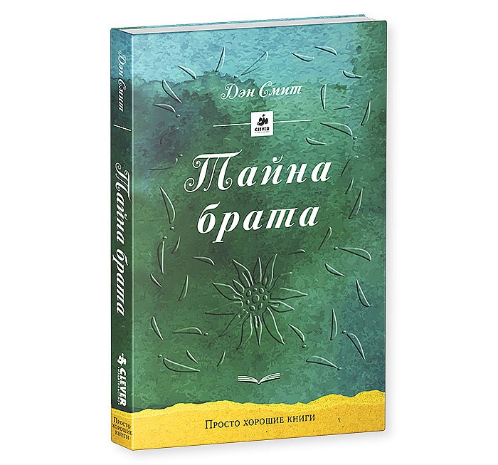 Тайна брата. Тайна брата книга. Смит д. тайна брата. Легкие интересные книги.