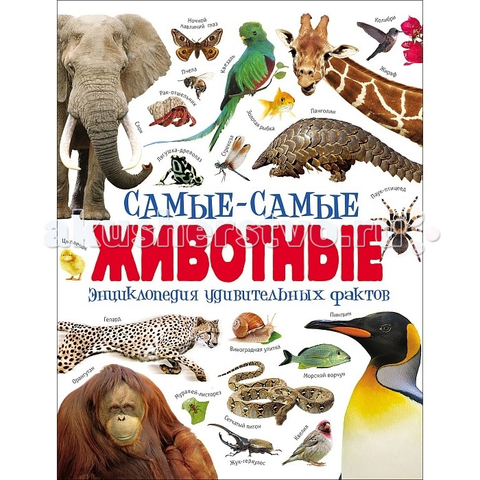 Энциклопедии Росмэн Энциклопедия Самые-самые животные