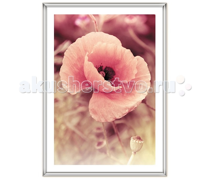 

Veld CO Фоторамка Poster 60х80 см