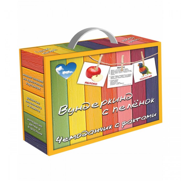Вундеркинд с пелёнок Подарочный набор Чемоданчик с фактами 480 шт.