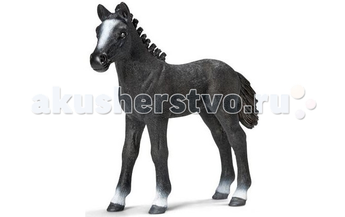 Игровые фигурки Schleich Игровая фигурка Липицианский жеребенок фигурки игрушки schleich арабский жеребенок