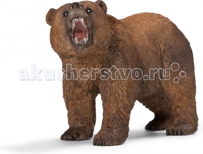 

Schleich Игровая фигурка Медведь Гризли, Игровая фигурка Медведь Гризли