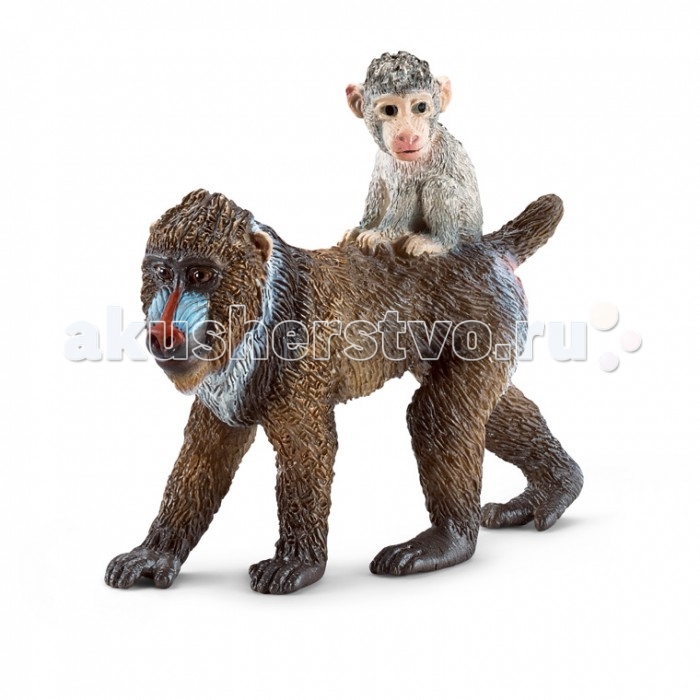 Игровые фигурки Schleich Игровая фигурка Мандрил самка с детенышем фигурки игрушки schleich жираф самка