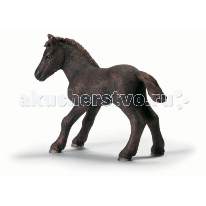 Игровые фигурки Schleich Игровая фигурка Камаргуеский жеребенок фигурки игрушки schleich арабский жеребенок