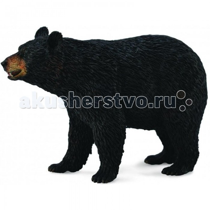 

Collecta Американский чёрный медведь, Американский чёрный медведь