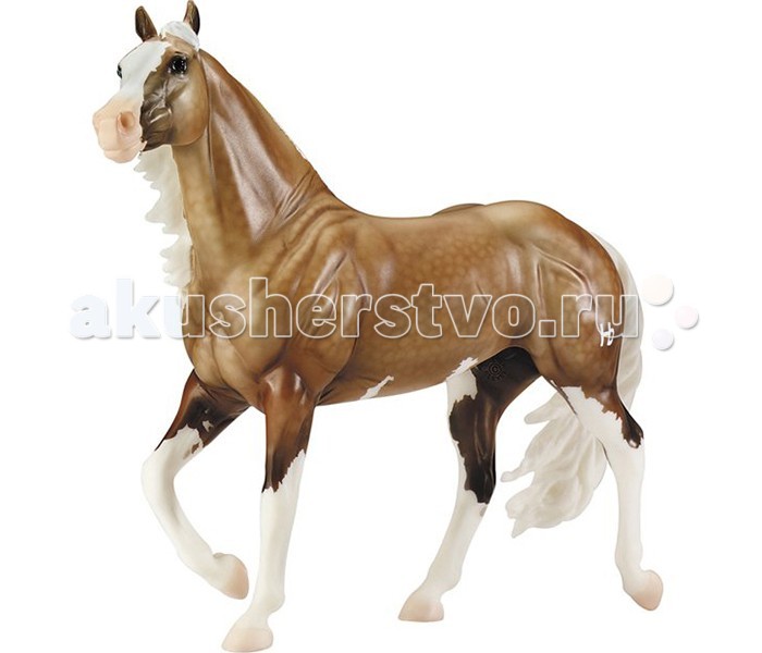 Breyer Лошадь Биг ЧексЛошадь Биг Чекс Breyer Лошадь Биг ЧексЛошадь Биг ЧексВсе лошади серии Traditional точно воспроизводят характерные черты и особенности представляемой ими породы. На данный момент продукты компании Breyer являются самыми реалистичными копиями лошадей благодаря точности линий, проработке мелких деталей и ручной росписи. Все это позволяет сделать каждую лошадь особенной и абсолютно не похожей на других. Модель лошади «Биг Чекс Ту Кэш», созданная мастерами компании Breyer, относится к серии, представляющей копии реально существующих лошадей. Лошади породы квотерхорс, или, как их еще иногда называют, четвертьмильная - это традиционная американская порода, выведенная специально для пастушьих нужд. Это на них ковбои пасли огромные стада и осваивали Дикий Запад. Главными в подобных условиях были выносливость лошади, и ее способность много часов подряд нести на себе седока, мягкий и удобный для всадника ход, а также резвость и маневренность, чтобы в случае необходимости успеть догнать и вернуть отбившееся от стада животное. В итоге квотерхорс превратился в невысокую крепкую лошадку с развитой мускулатурой (конники в шутку называют его лошадкой-бодибилдером), мягкой рысью и отличной маневренностью: квотерхорс может с места взять в галоп, мгновенно совершить полную остановку и развернуться на монетке, не потеряв при этом скорости. Именно из-за этой способности развивать высокую скорость на коротких дистанциях -четверть мили и меньше- порода и получила свое название (англ. quartermile horse- дословно лошадь четверти мили). Чувство равновесия и потрясающая реакция, а также пастушья интуиция позволяют до сих упор успешно использовать породу по прямому назчачению, а также активно задействовать ее в различных вестерн-шоу, которые в последние десятилетия превратились в отдельный, по сути, вид конного спорта. Легендарный жеребец породы квотерхорс по кличке Биг Чекс Ту Кэш ( Big Chex To Cash, англ. большой чек на наличные), сочетает в себе все лучшие качества породы, но помимо этого он еще и отличается интересной и нарядной мастью- паломино с пегостью типа оверо. Рожденный в 2002 году, Биг Чекс за свою карьеру заработал более $200 000 и выиграл несколько национальных чемпионатов. Это, впрочем, не удивительно- его отец, жеребец по кличке Ню Чекс Ту Кэш (Nu Chex to Cash), был абсолютным чемпионом по количеству набранных баллов в в соревнованиях Американской Ассоциации Породы Квотрехорс (AQHA), и стал единственной лошадью, набравшей максимальное количество очков в нескольких вестерн-дисциплинах за один год. В настоящее время Биг Чекс выступает в различных шоу, а также используется как производитель. Первые жеребята от него появились в 2007 году, и заводчики возлагают на них большие надежды. Масштаб 1:9 Размер лошади Д х В - 30 х 23 см Лошадь упакована в красивую коробку. Изготовлена из высококачественного материала, абсолютно безопасна в использовании, рекомендована детям от 4-х лет.<br>