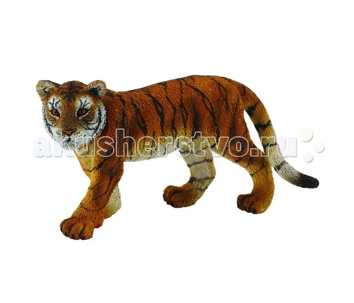 Collecta Фигурка Детеныш сибирского тигра M (7,5 см) 88413b/88413
