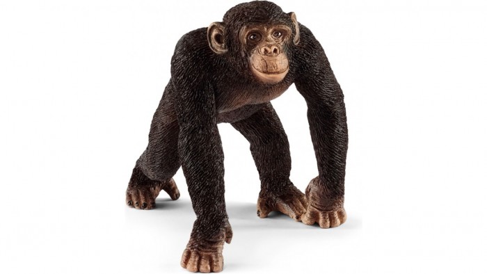 Игровые фигурки Schleich Игровая фигурка самка Шимпанзе фигурки игрушки schleich жираф самка