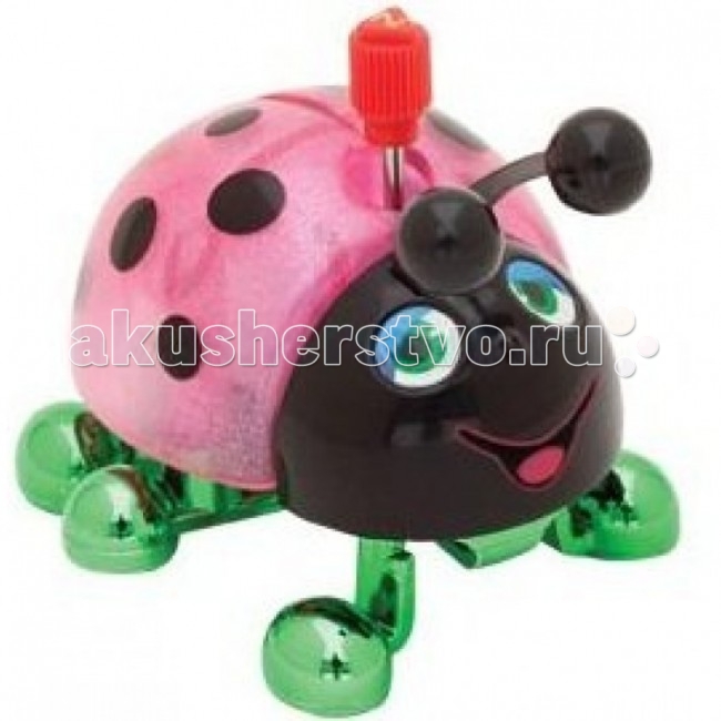Wind up toy. Божья коровка перевертыш игрушка. Заводная Божья коровка. Заводная игрушка мини. Плавающая игрушка Божья коровка пластиковая.
