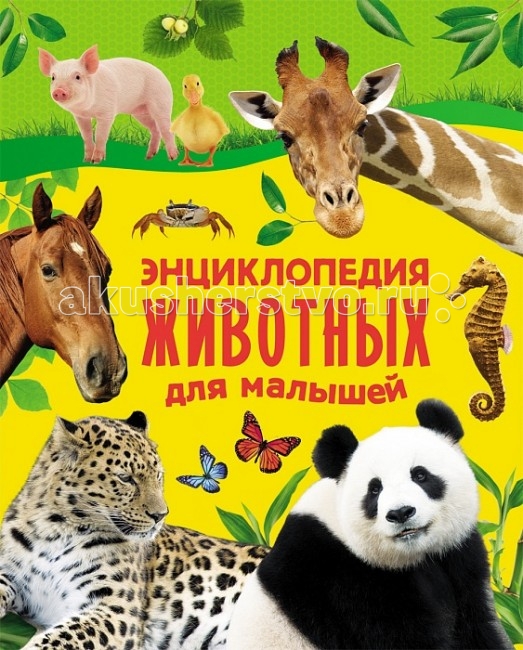 Росмэн Энциклопедия животных для малышей