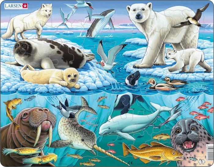 Пазлы Larsen Пазл Арктика птицы звери люди… фауна и флора