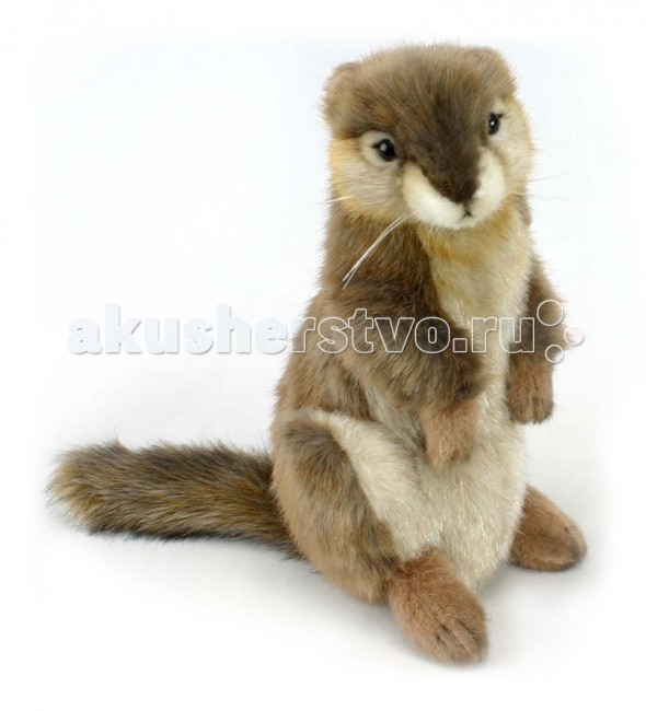 

Мягкая игрушка Hansa Калифорнийский суслик 22 см, Калифорнийский суслик 22 см