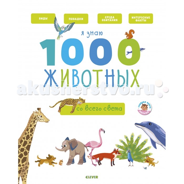 

Clever Бессон А. Главная книга малыша Я знаю 1000 животных, Бессон А. Главная книга малыша Я знаю 1000 животных