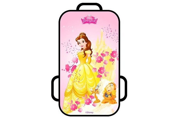 

Ледянка Disney Принцессы 72х41 см, Принцессы 72х41 см
